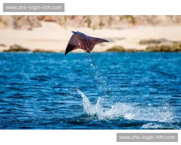 跳水首发：跳出水面，掀起潮流的新风向